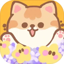 代号猫猫游戏