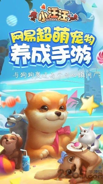 小汪汪果盘版