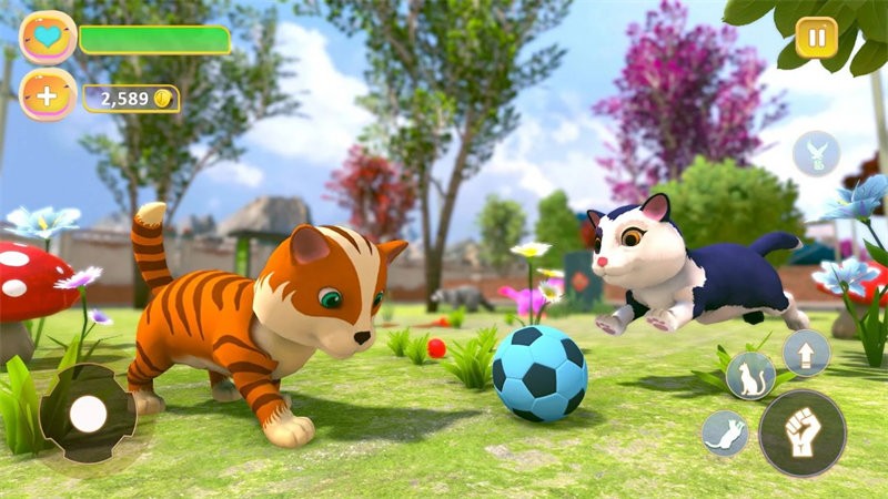 猫咪治愈屋游戏(cute kitten simulating game)