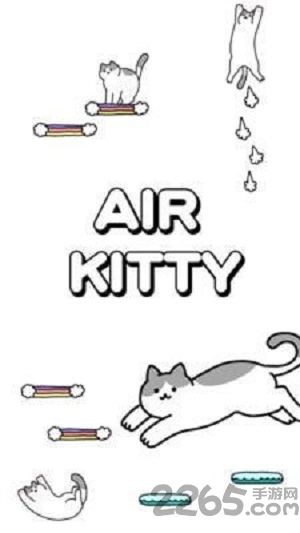 空中猫咪游戏