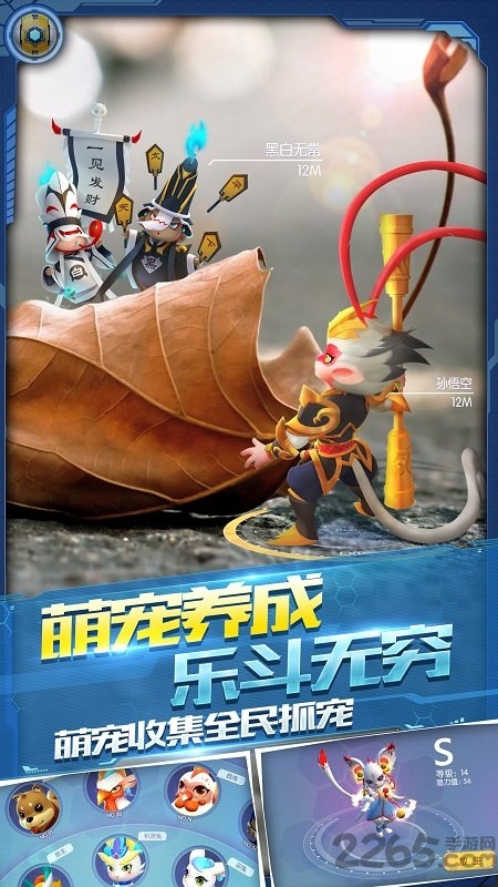 萌宠大爆炸懒人版