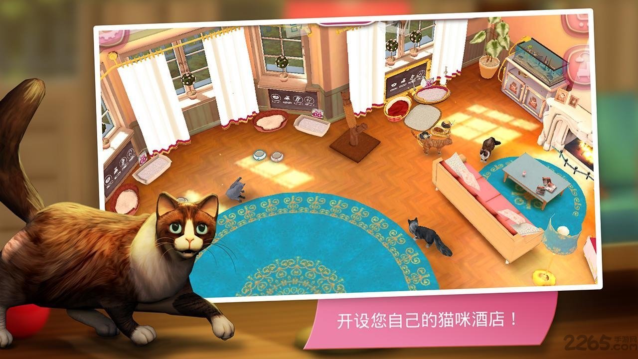 猫舍无限金币版