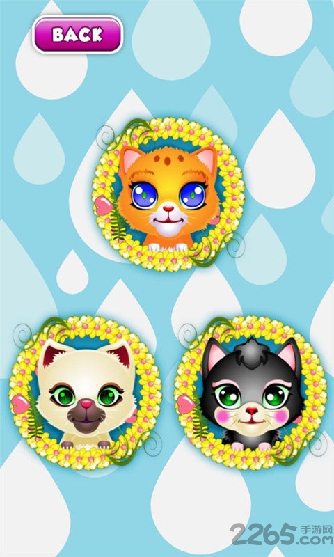会说话的小猫咪手机游戏