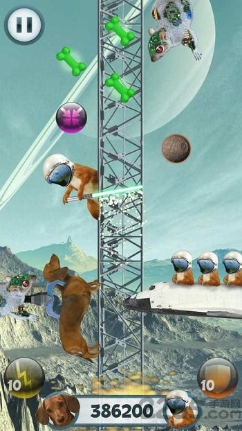 野蛮腊肠犬游戏最新版下载