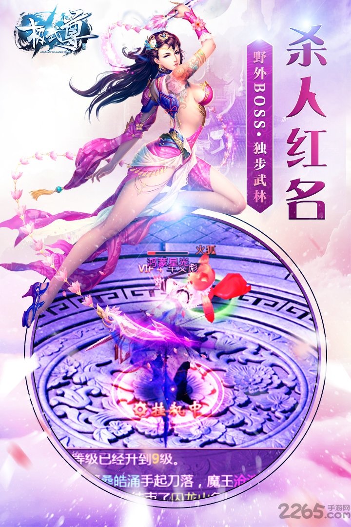 极武尊手游九游版