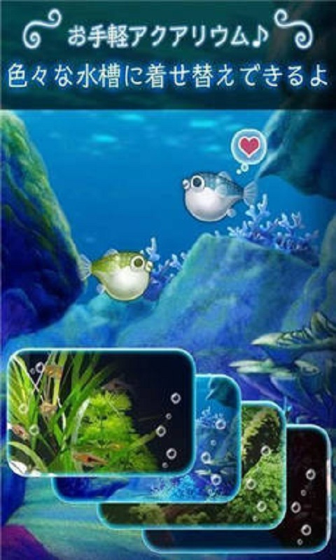 我的河豚水族馆内购破解版
