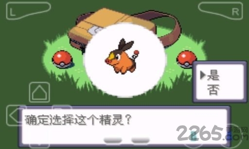 口袋妖怪时空之战歌汉化版
