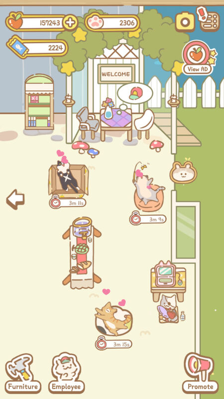 猫咪水疗中心中文版