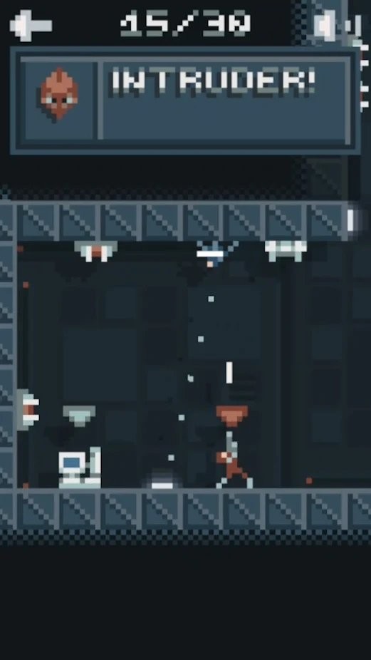 忍者袭击者游戏(ninja raider)