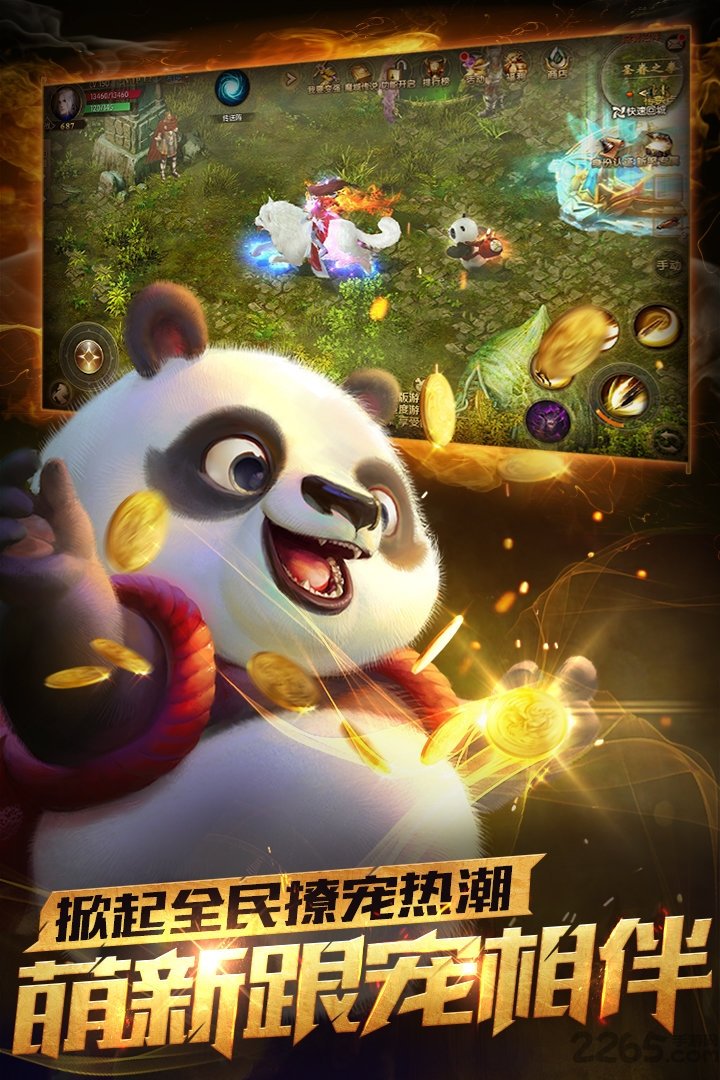 魔域口袋版网龙版