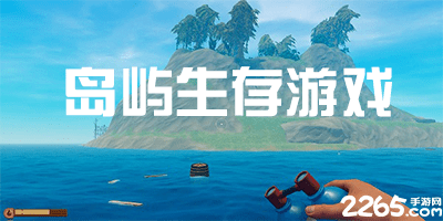 岛屿生存游戏