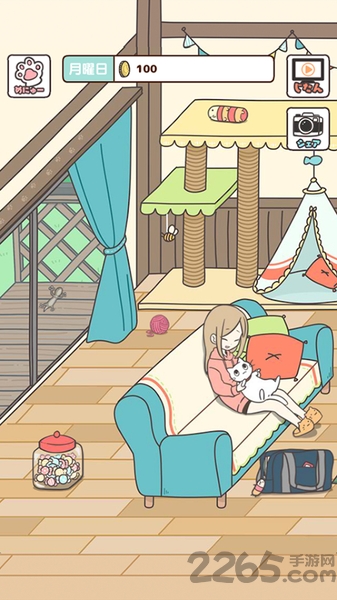 猫咪饲养日常汉化破解版