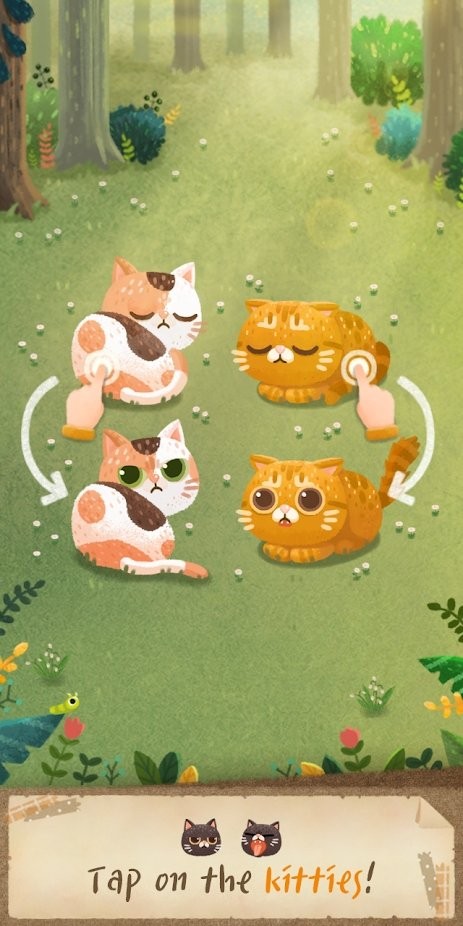 猫咪和秘密森林游戏