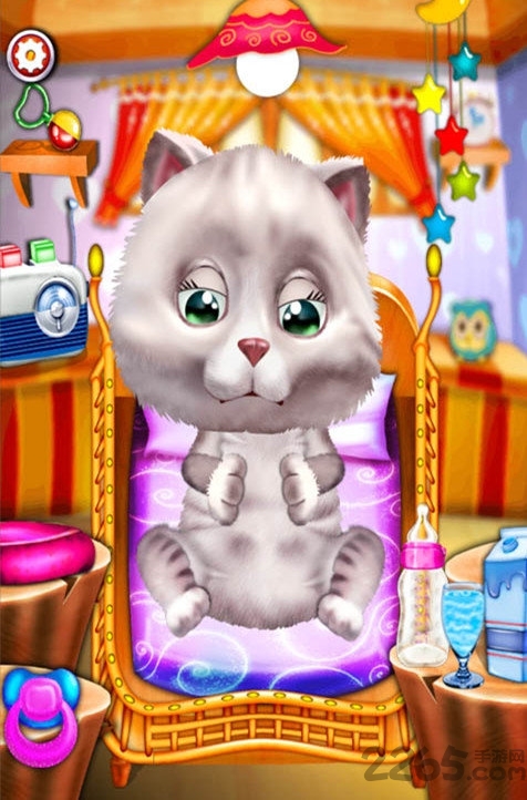 照顾小猫咪手机版