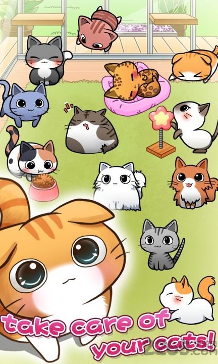 猫咪宿舍游戏