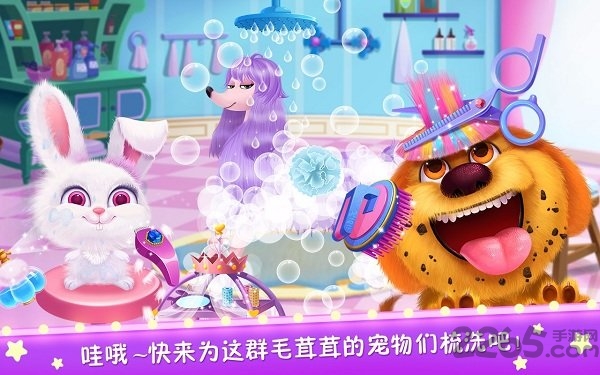 毛绒宠物美容院