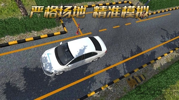 疯狂考驾照mod内购破解版