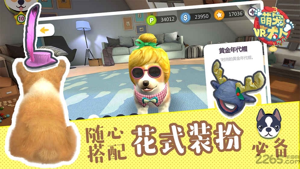 萌宠大人vr爱奇艺版