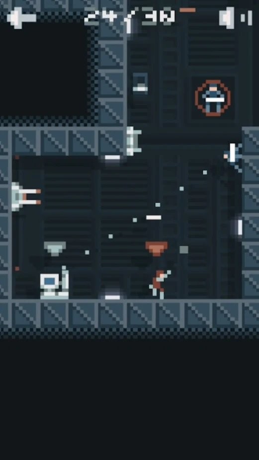 忍者袭击者游戏(ninja raider)