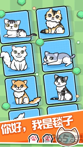 跑跑云养猫内购破解版