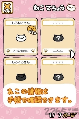 猫咪后院1.9.6汉化
