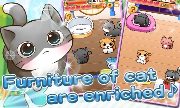 猫的生活免费下载