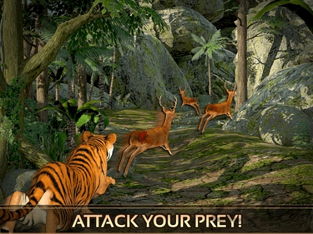 野生虎的冒险破解版