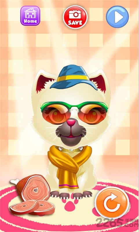 会说话的小猫咪手机游戏