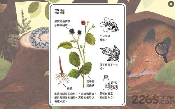 小棕鼠的自然生态百科最新版