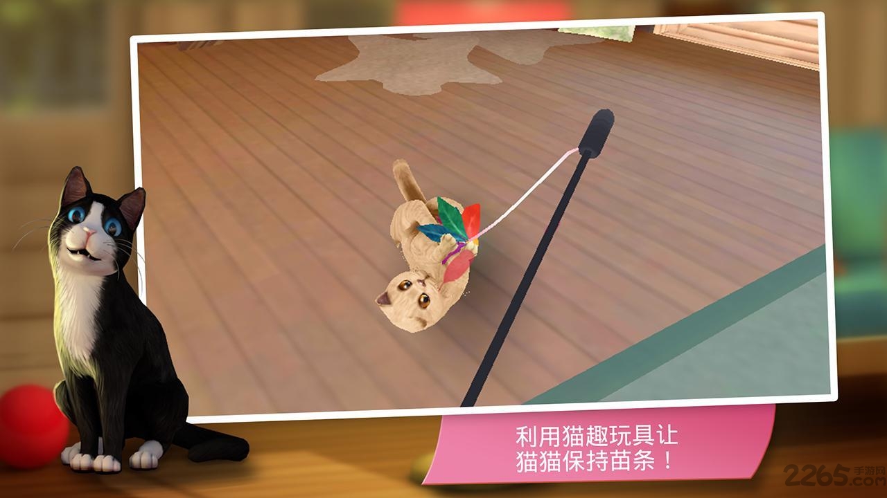 猫舍无限金币版 猫舍flash游戏下载