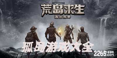 孤岛游戏