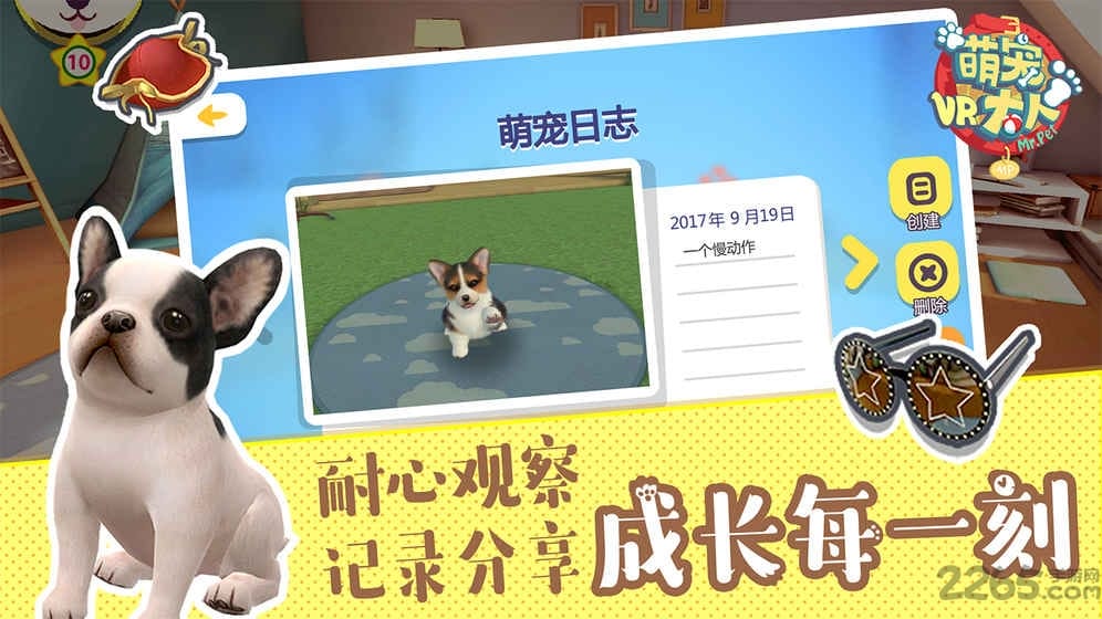 萌宠大人vr爱奇艺版