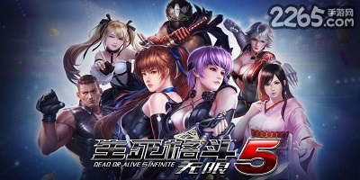 生死格斗5无限