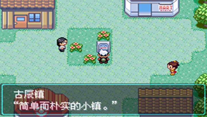 口袋妖怪空之花神金手指版
