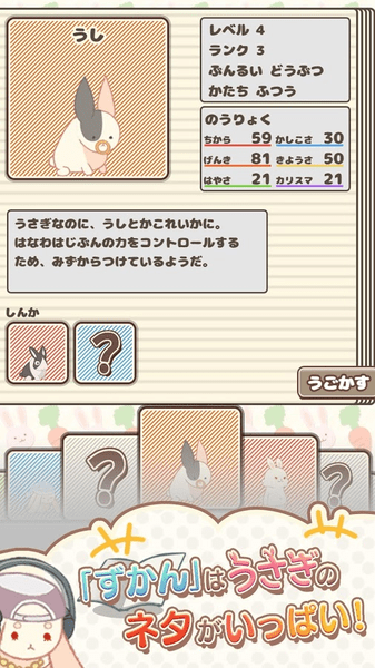 盒中小兔中文版