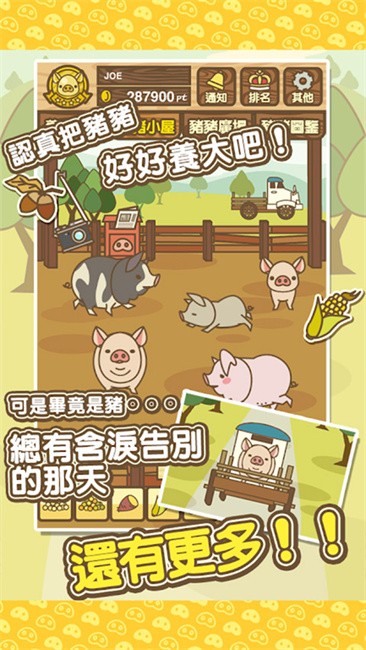 养猪场mix最新版本
