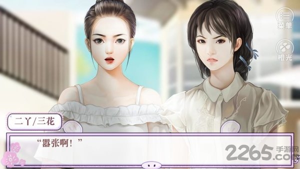 有钱有权又有颜橙光破解版下载