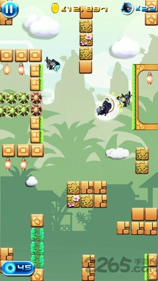 忍者突袭奢华版