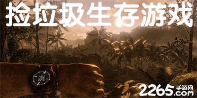 捡垃圾生存游戏