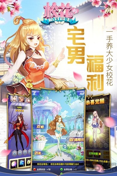 校花的贴身高手旧版