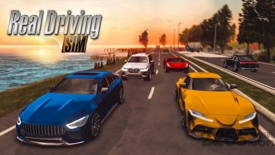 real driving sim手机游戏