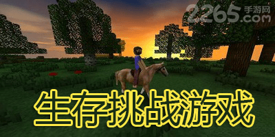 生存挑战游戏