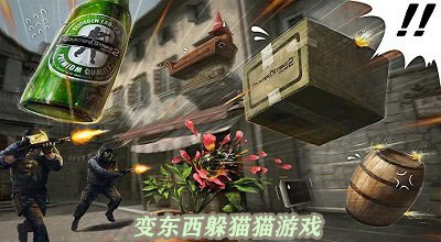 变东西躲猫猫的游戏
