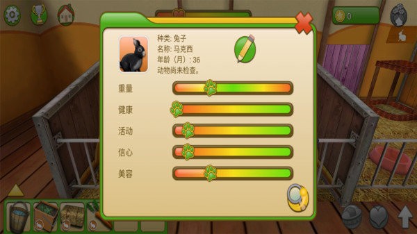 疯狂动物乐园游戏