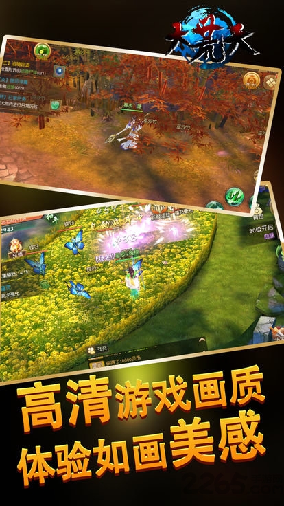 大荒天手游官网下载