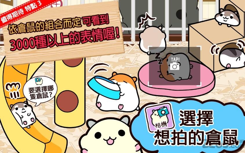 仓鼠收集中文版
