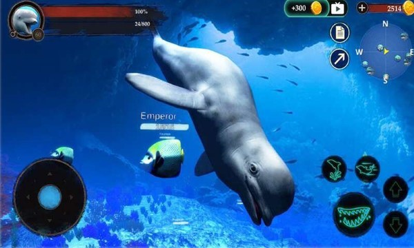 海洋大捕杀下载