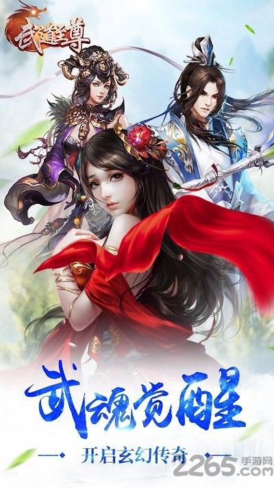 51wan武道至尊