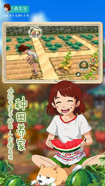 小森生活九游官方版