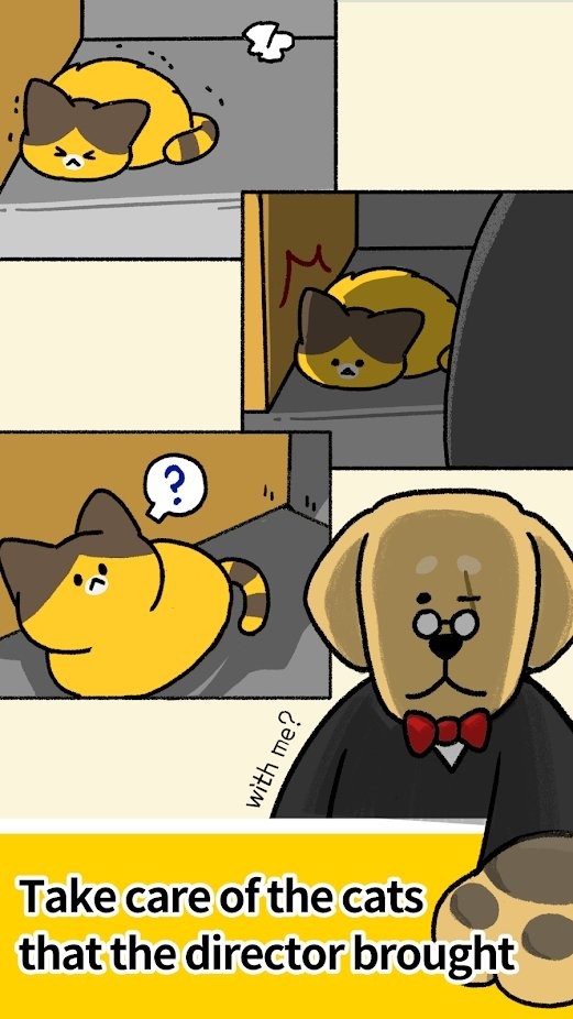 猫幼儿园游戏
